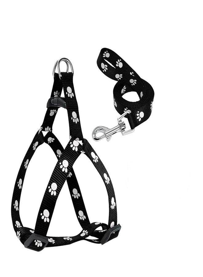 Pups&Pets Paw Print Leash and Harness | Set for Small & Medium Puppy | (Color Black) - Image 1